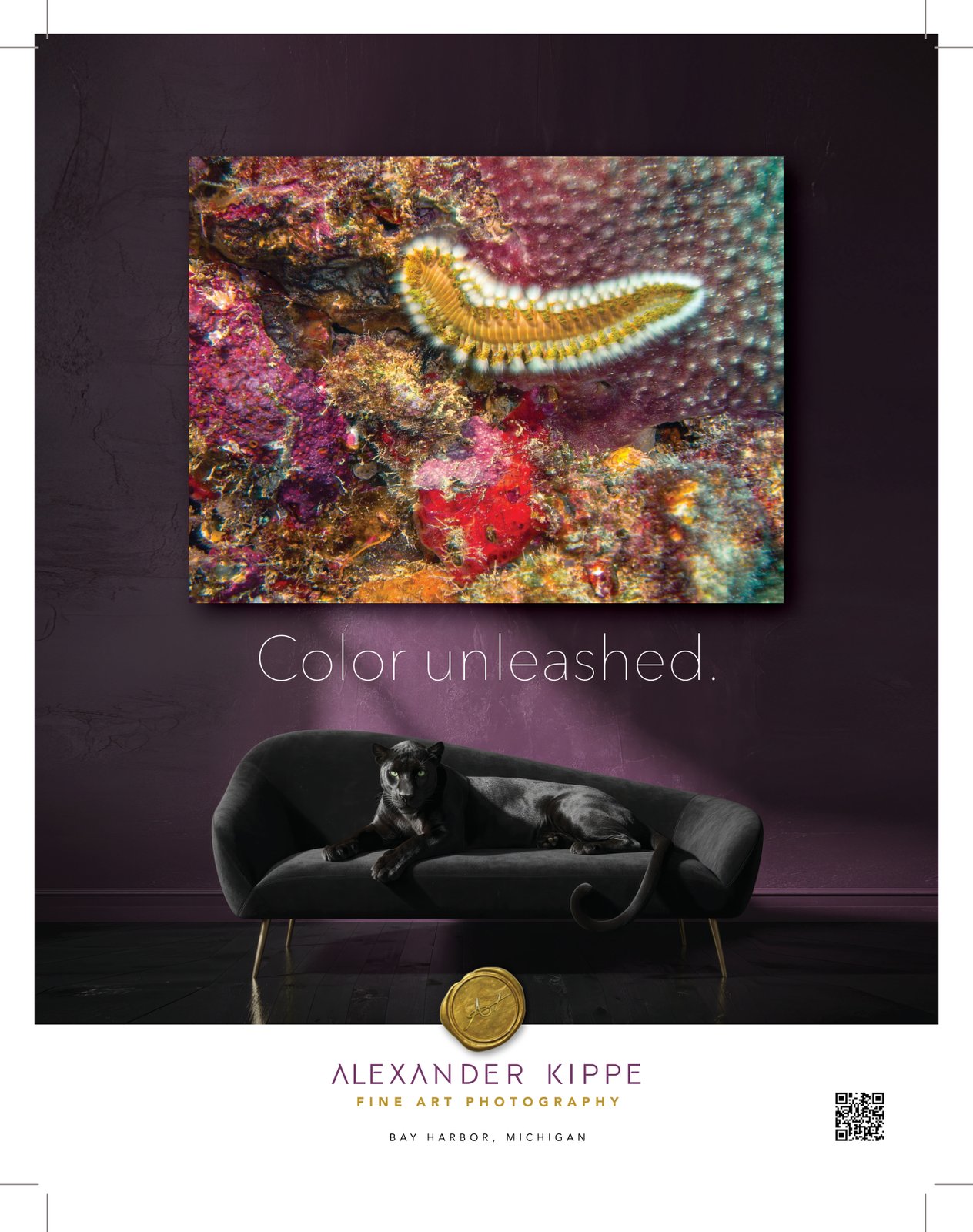 Alexander Kippe fine art — Color unleashed.
